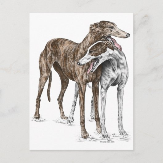 Twee Greyhound Friends Dog Art Briefkaart (Voorkant)