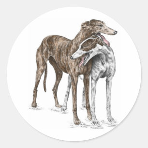 Twee Greyhound Friends Dog Art Ronde Sticker