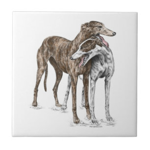Twee Greyhound Friends Dog Art Tegeltje