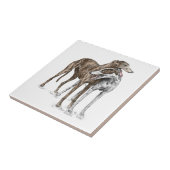 Twee Greyhound Friends Dog Art Tegeltje (Zijkant)