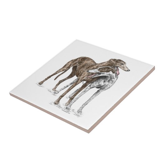 Twee Greyhound Friends Dog Art Tegeltje (Zijkant)