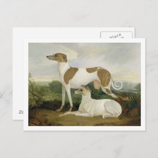 Twee Greyhounds in een Landschap (olie op canvas) Briefkaart (Voorkant / Achterkant)
