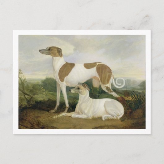 Twee Greyhounds in een Landschap (olie op canvas) Briefkaart (Voorkant)