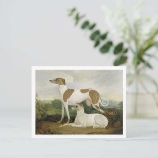 Twee Greyhounds in een Landschap (olie op canvas) Briefkaart (Staand voorkant)