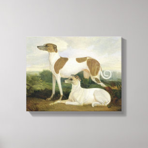 Twee Greyhounds in een Landschap (olie op canvas) Canvas Afdruk