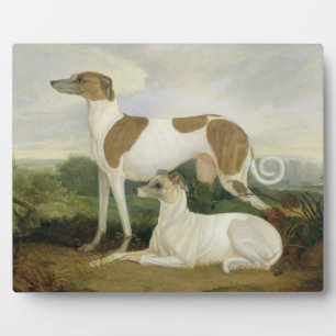 Twee Greyhounds in een Landschap (olie op canvas) Fotoplaat
