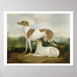 Twee Greyhounds in een Landschap (olie op canvas) Poster
