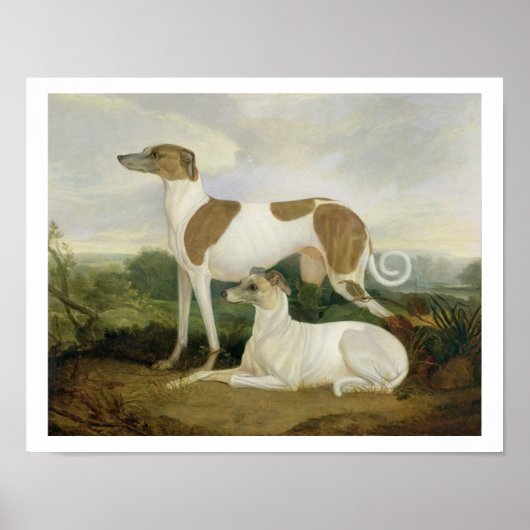 Twee Greyhounds in een Landschap (olie op canvas) Poster (Voorkant)