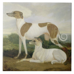 Twee Greyhounds in een Landschap (olie op canvas) Tegeltje