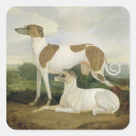 Twee Greyhounds in een Landschap (olie op canvas) Vierkante Sticker (Voorkant)