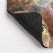 Twee grijze katten in de ruimte voor een nevel muismat (Hoek)