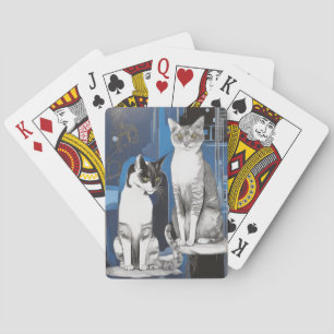 Twee grijze katten op een Abstracte achtergrond Pokerkaarten