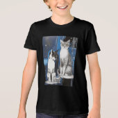 Twee grijze katten op een Abstracte achtergrond Tri-Blend Shirt (Voorkant)