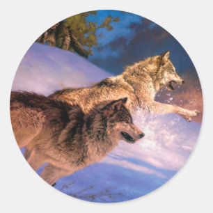 Twee grijze wolf in winterse natuur ronde sticker
