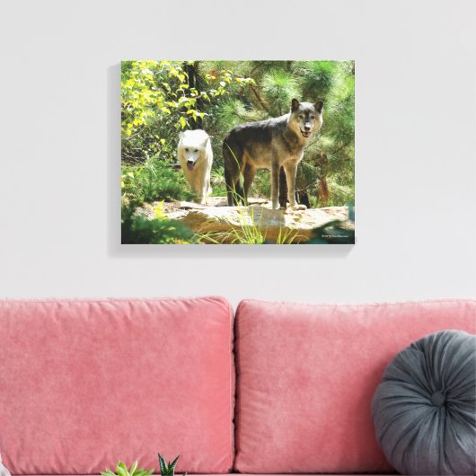 Twee grijze wolven in het bos canvas afdruk (Insitu (Woonkamer))