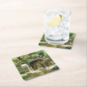 Twee grijze wolven in het bos kartonnen onderzetters (Insitu)