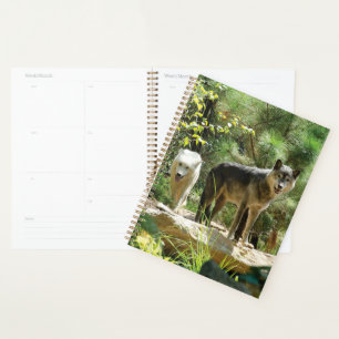 Twee grijze wolven in het bos planner