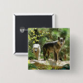 Twee grijze wolven in het bos vierkante button 5,1 cm (Voorkant /achterkant)