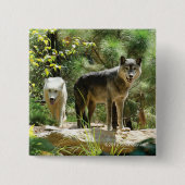 Twee grijze wolven in het bos vierkante button 5,1 cm (Voorkant)