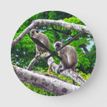 Twee groene apen die in de boomklep zitten