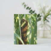 Twee Groene Grasshoppers DIY Briefkaart (Staand voorkant)
