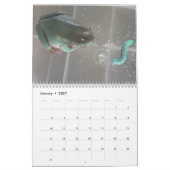 Twee groene kikkers 2023 Agenda Kalender (Jan 2027)