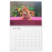 Twee Groene Kikkers 2024 Kalender (Jan 2027)