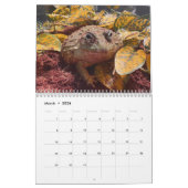 Twee Groene Kikkers 2024 Kalender (Mar 2026)