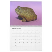 Twee groene kikkers 2025 Kalender (Feb 2027)
