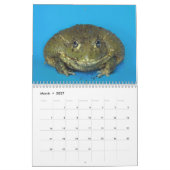 Twee groene kikkers 2025 Kalender (Mar 2027)