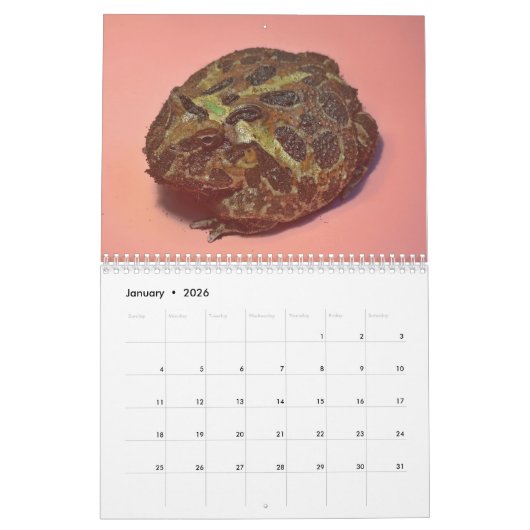 Twee groene kikkers 2025 Kalender (Jan 2026)