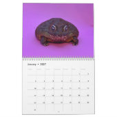 Twee Groene Kikkers' 2026 Agenda Kalender (Jan 2027)