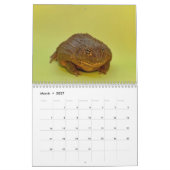 Twee Groene Kikkers' 2026 Agenda Kalender (Mar 2027)
