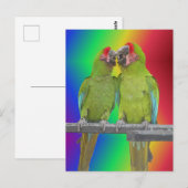 Twee Groene Papegaaien Regenboog DIY Briefkaart (Voorkant / Achterkant)