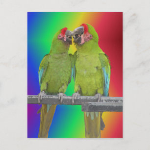 Twee Groene Papegaaien Regenboog DIY Briefkaart