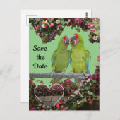 Twee groene papegaaien snijden. Het Briefkaart Dat (Voorkant / Achterkant)