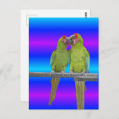 Twee Groene Papegaaien Zonsondergang DIY Briefkaar Briefkaart (Voorkant / Achterkant)