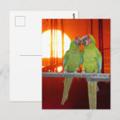 Twee Groene Papegaaien Zonsondergang DIY Briefkaar Briefkaart (Voorkant / Achterkant)