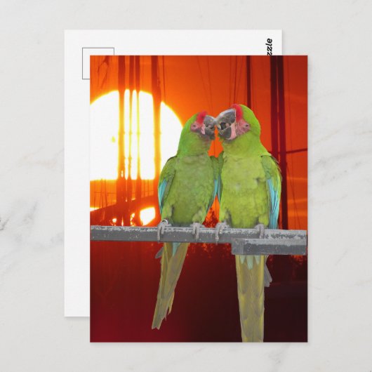 Twee Groene Papegaaien Zonsondergang DIY Briefkaar Briefkaart (Voorkant / Achterkant)