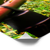 Twee groene reigers perfect poster (Hoek)