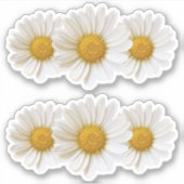 Twee groepen van drie witte madeliefjes sticker (Voorkant)
