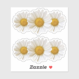 Twee groepen van drie witte madeliefjes sticker