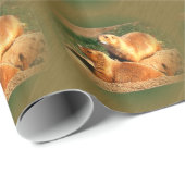 Twee grondhogs op de dag van de grondhogs cadeaupapier (Rol Hoek)