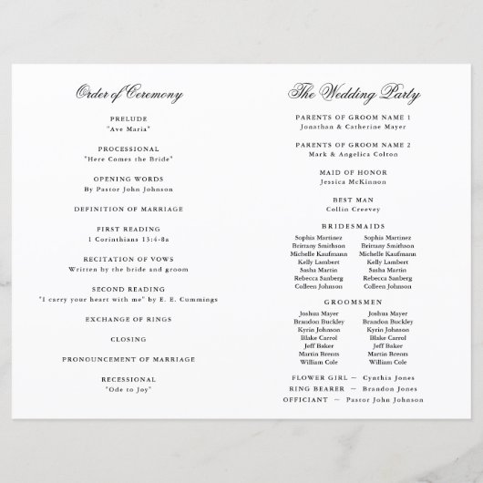 Twee Grooms Silhouettes Bow Stropdas Gay Wedding P (Achterkant)