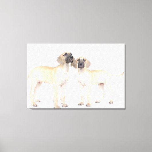 Twee Grote Denen Canvas Afdruk (Voorkant)