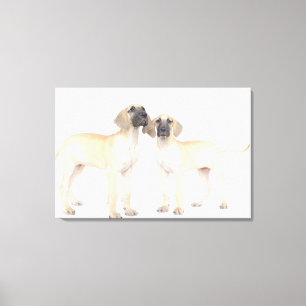 Twee Grote Denen Canvas Afdruk