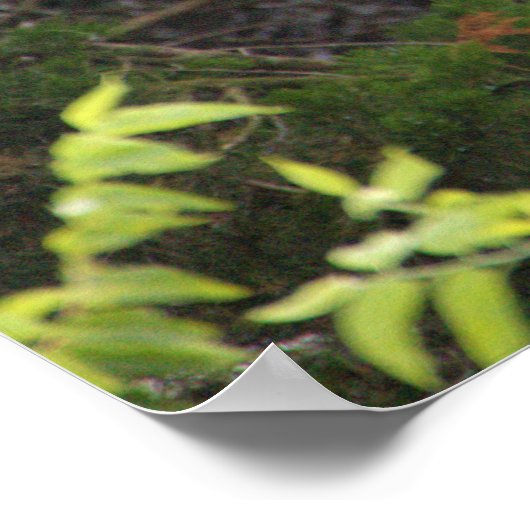 Twee grote groten in de boom poster (Hoek)