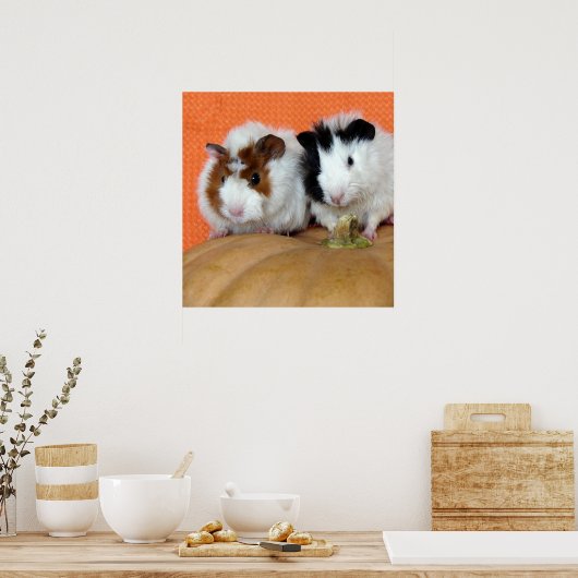 Twee Guinee-varkens op een Long Island Cheese Pump Poster (Keuken)