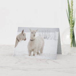 Twee Happy Goats met Collars die in sneeuw staan Feestdagen Kaart