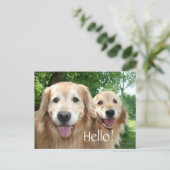 Twee Happy Golden Retriever Honden buiten Briefkaart (Staand voorkant)